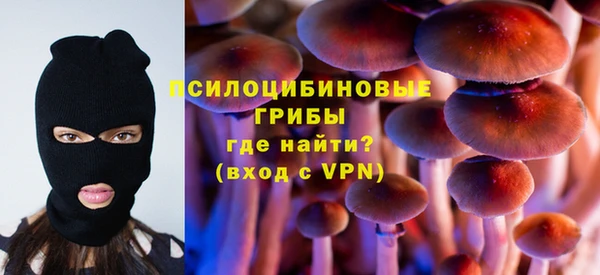 apvp Магадан