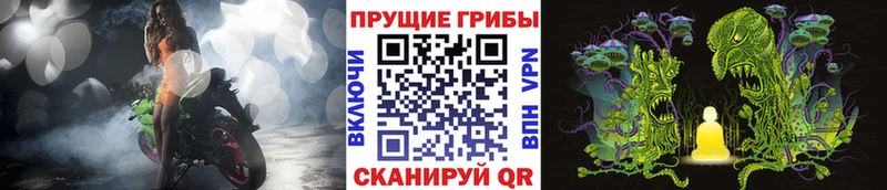 дарнет шоп Кадников MEGA ССЫЛКА Псилоцибиновые грибы MAGIC MUSHROOMS